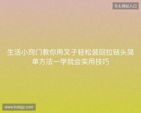 生活小窍门教你用叉子轻松装回拉链头简单方法一学就会实用技巧